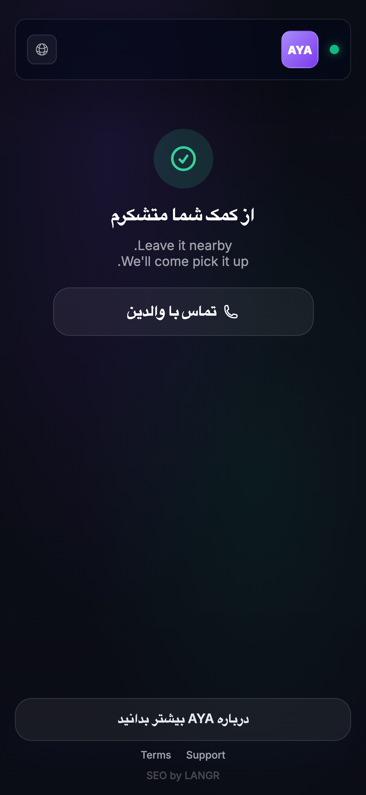 آنچه پیدا کننده میبیند
