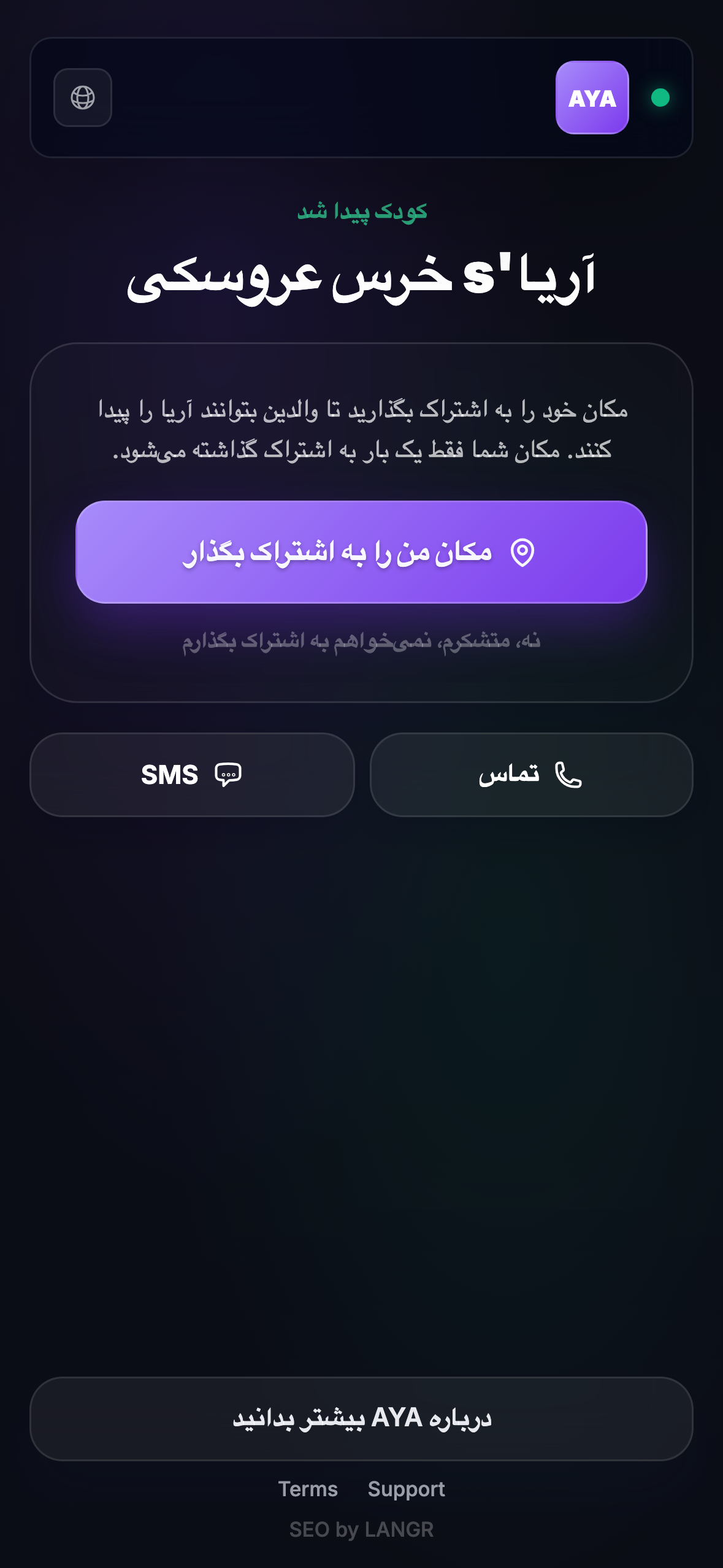 آنچه پیدا کننده میبیند